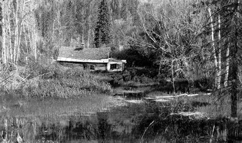 Cabin In The Woods Cooch .